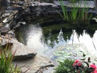 kamień ogrodowy kaskada i oczko wodne