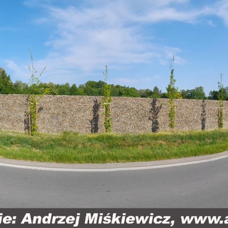 image-1780