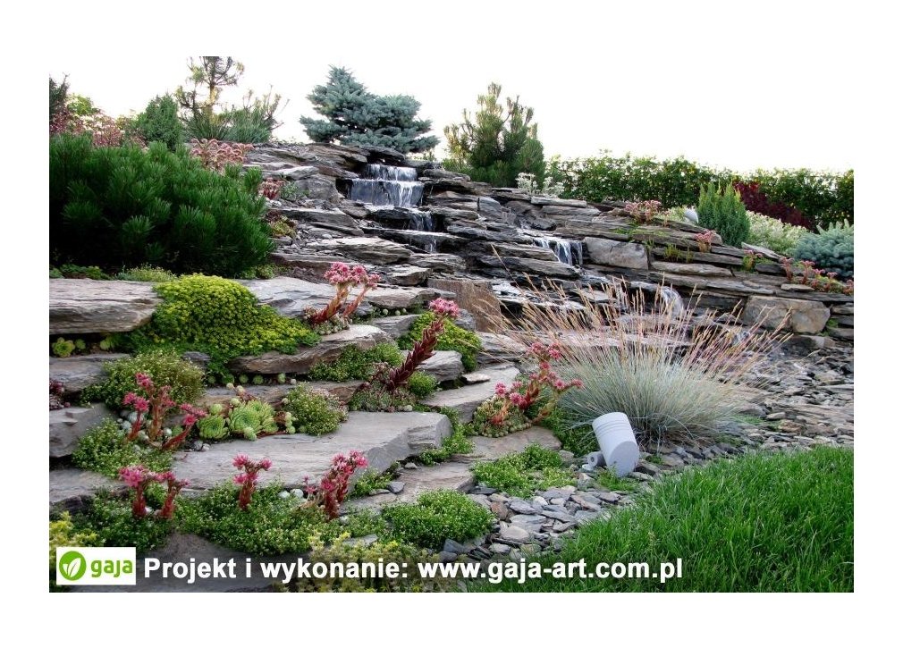 image-1536