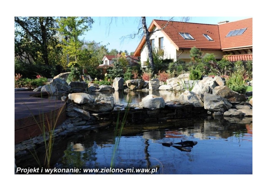image-1534